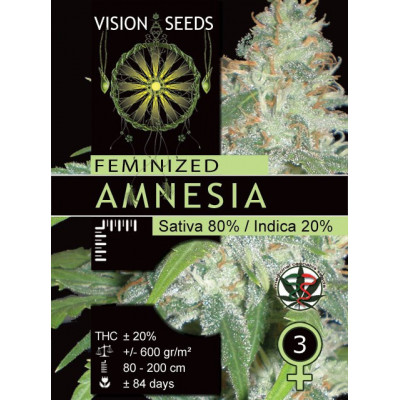 Amnesia vision seeds féminisée Graines de Collection