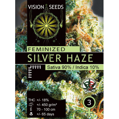 Silver haze vision seeds féminisée Graines de Collection