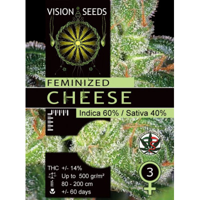 Cheese vision seeds féminisée