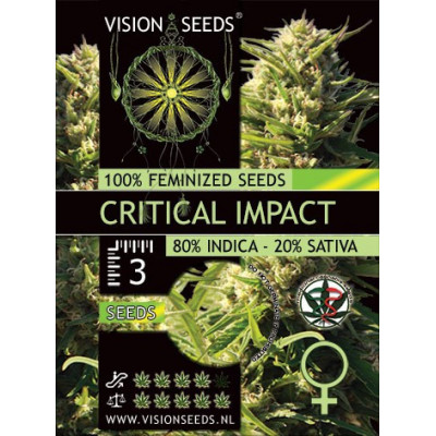 Critical impact vision seeds féminisée