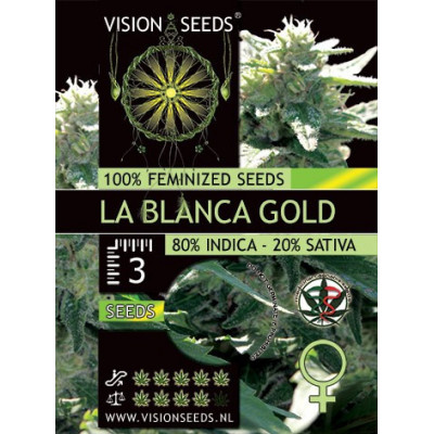 La blanca gold vision seeds