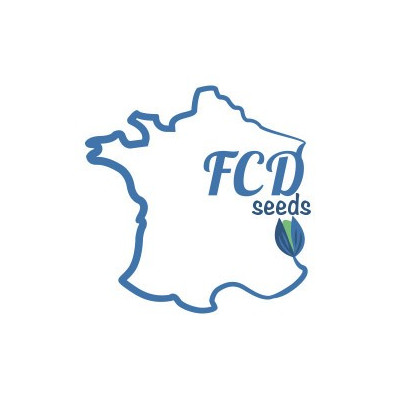 Big bud feminisee FCD Seeds