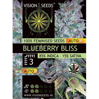 Blueberrry bliss auto vision seeds