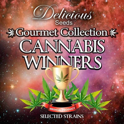 Gourmet collection cannabis winner strains 1