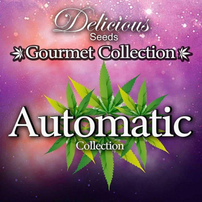 Gourmet collection automatic strains 1