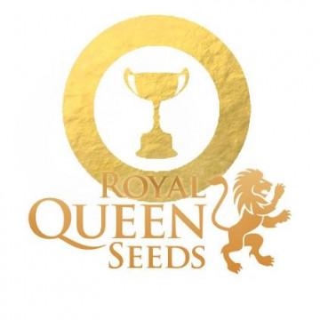 Royal queen seeds