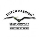 Dutch Passion