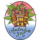 Amsterdam Seeds