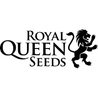 Royal Queen Seeds