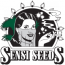 Sensi seeds