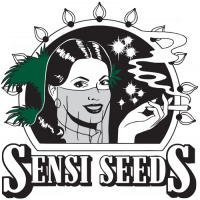 Sensi seeds