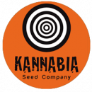 Kannabia