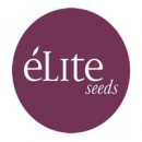 Elite Seeds