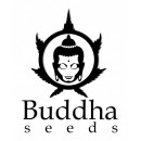 Buddha Seeds