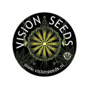 Vision Seeds