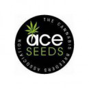 Ace Seeds