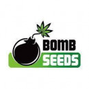 Bomb Seeds