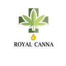 Royal Canna